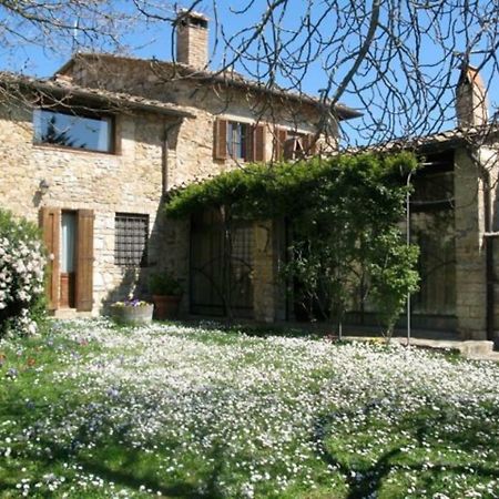 Lauro Apartman Castellina in Chianti Kültér fotó