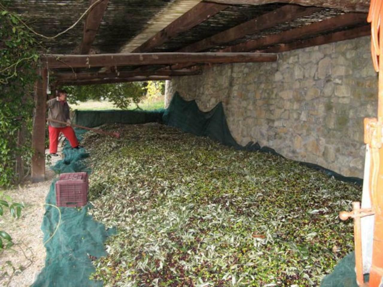 Lauro Apartman Castellina in Chianti Kültér fotó