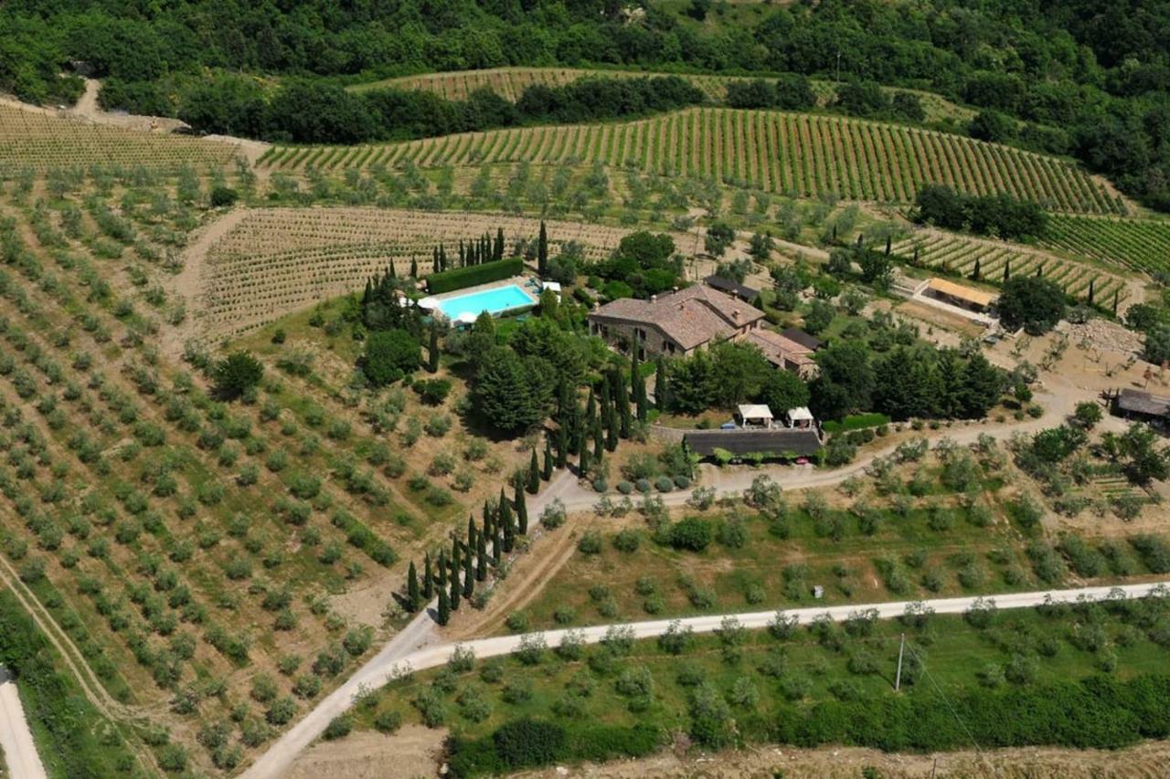 Lauro Apartman Castellina in Chianti Kültér fotó